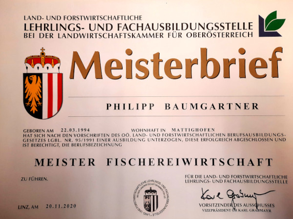 Meisterbrief Baumgartner